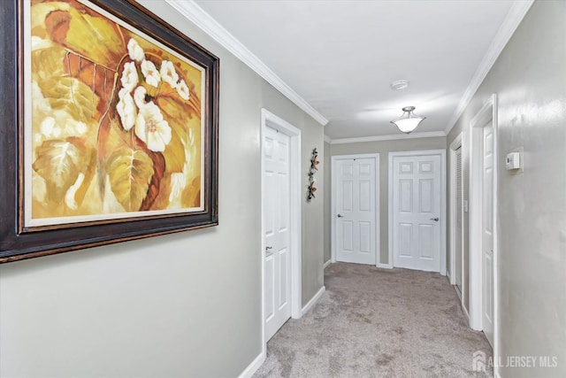 hallway with crown molding and light colored carpet