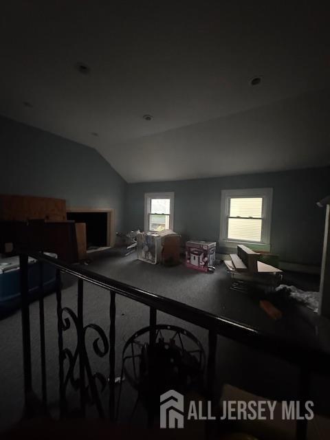 17 Grant St, Dover, NJ 07801 - miscellaneous room with vaulted ceiling and carpet flooring
