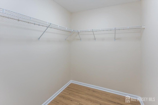 3 Rozalyn Ln, Old Bridge, NJ 08879 - spacious closet featuring light wood-type flooring