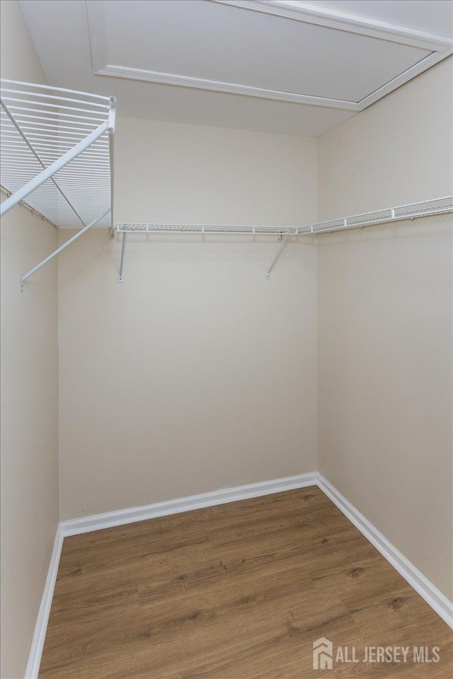 3 Rozalyn Ln, Old Bridge, NJ 08879 - walk in closet featuring wood finished floors