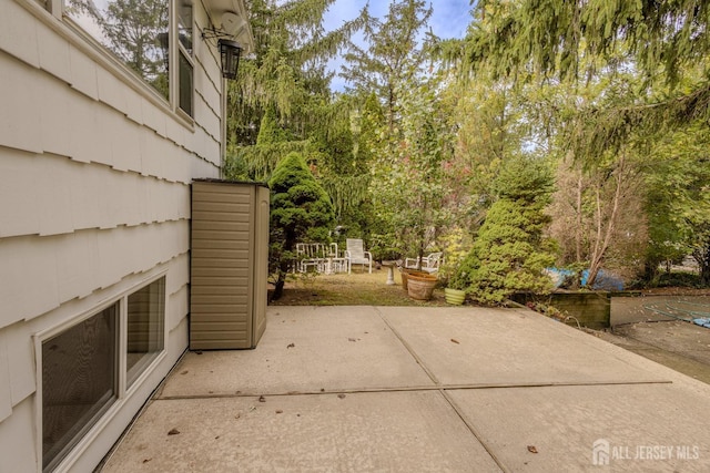 view of patio / terrace with view of scattered trees