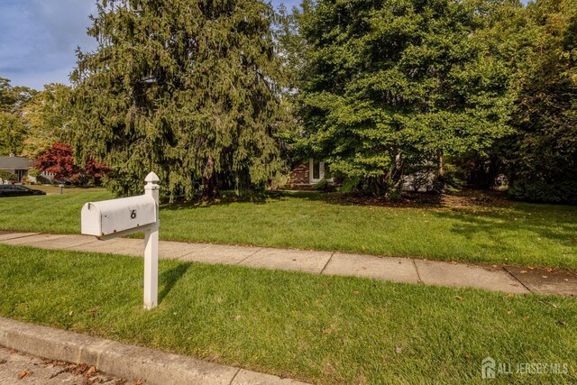 view of front of home with a front yard