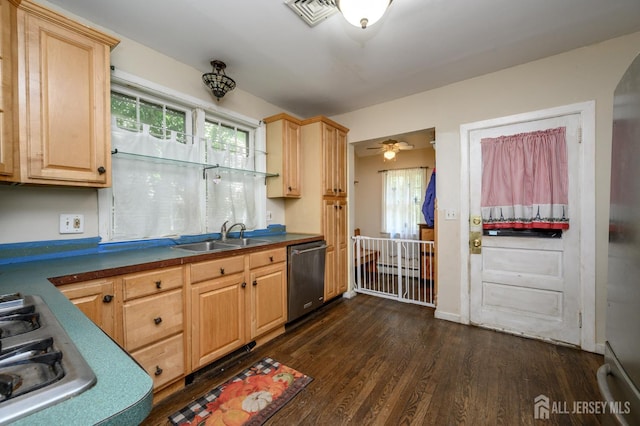570 Main St, Metuchen, NJ 08840 - kitchen with stainless steel appliances, dark wood-type flooring, plenty of natural light, and light brown cabinetry
