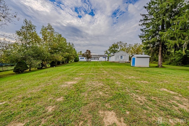 view of yard featuring a storage shed