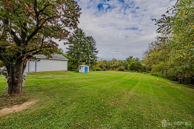 view of yard with a shed