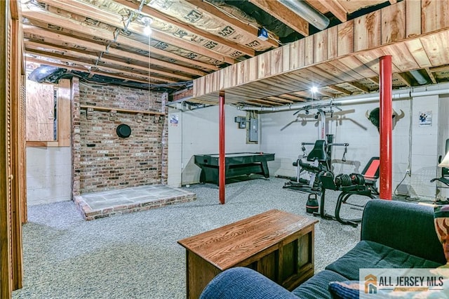 unfinished basement featuring electric panel and carpet flooring