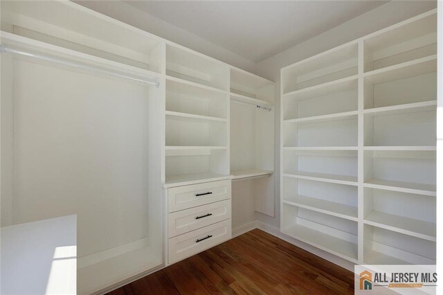 walk in closet with dark hardwood / wood-style flooring