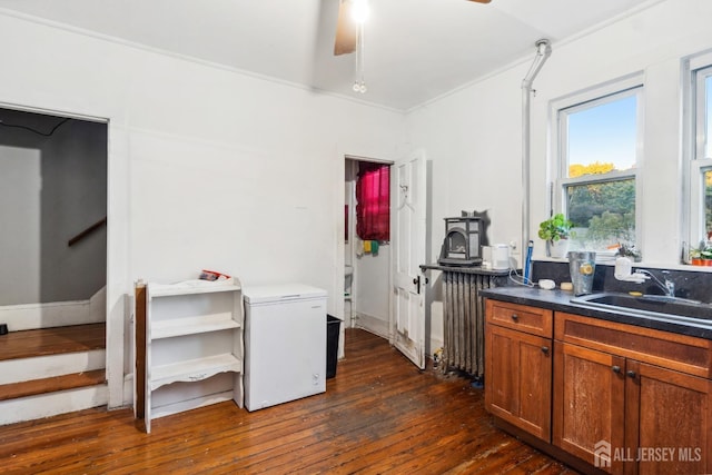 kitchen featuring sink, dark wood-type flooring, ornamental molding, and refrigerator