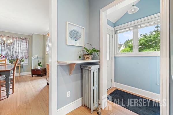 185 Rowland Pl, Woodbridge Proper, NJ 07095 - foyer featuring radiator, wood finished floors, and a chandelier
