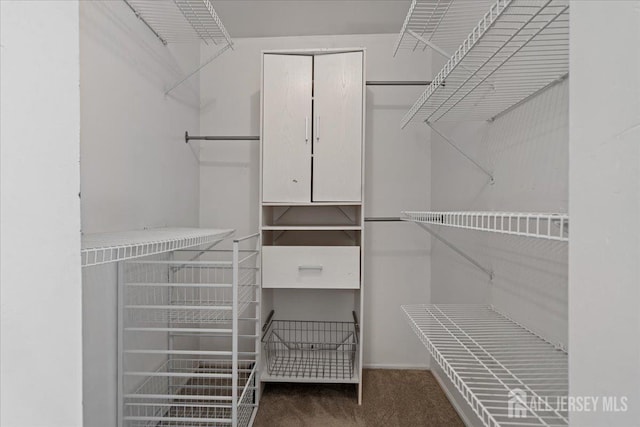 450 Saint Giles Ct, Franklin Twsp, NJ 08873 - walk in closet with carpet