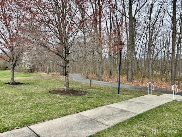 view of property's community featuring a yard and a forest view