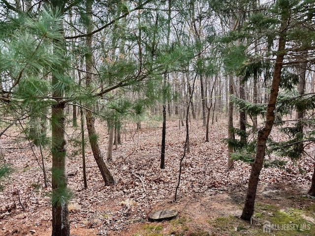 view of nature
