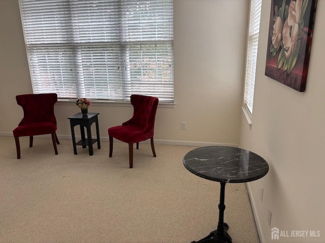 165 Einstein Way E, Windsor, NJ 08512 - living area featuring carpet flooring and baseboards