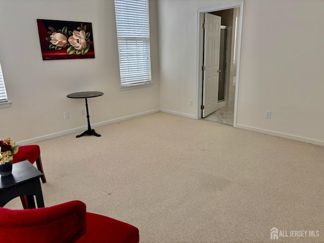 interior space featuring baseboards and carpet floors