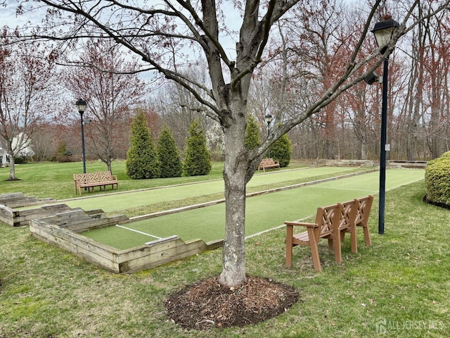 surrounding community with a lawn