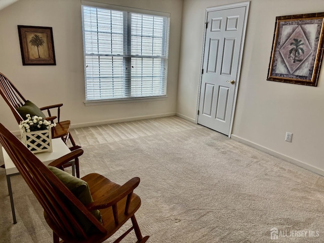 165 Einstein Way E, Windsor, NJ 08512 - sitting room with baseboards and light carpet