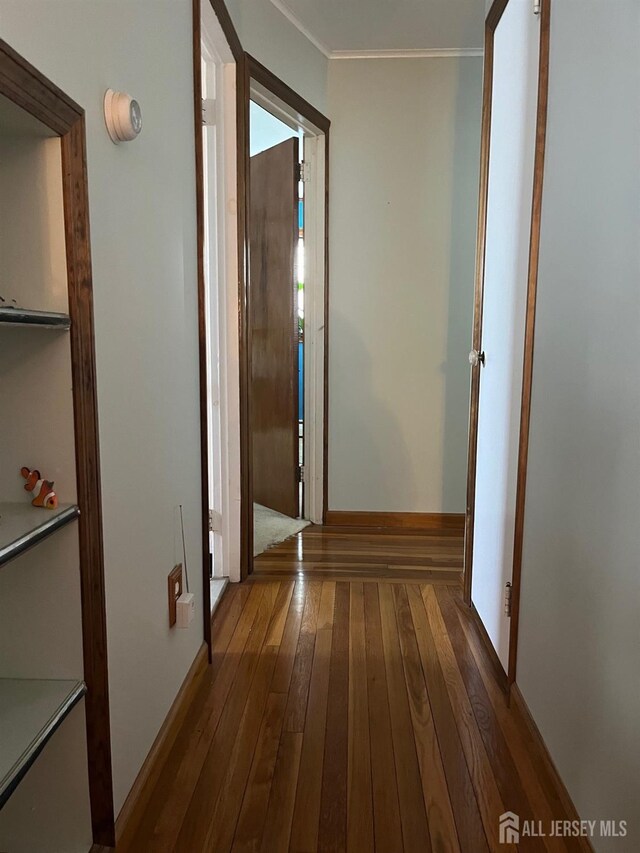 hallway featuring ornamental molding and dark hardwood / wood-style flooring