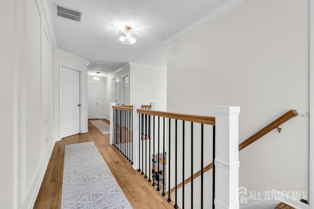5 Catelli Rd, South Brunswick, NJ 08540 - photo 20