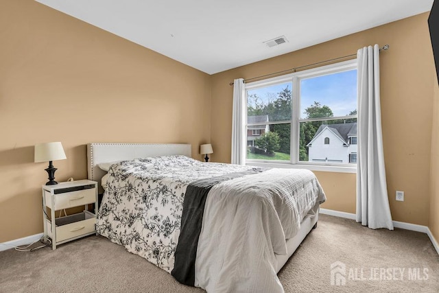 5 Catelli Rd, South Brunswick, NJ 08540 - photo 33