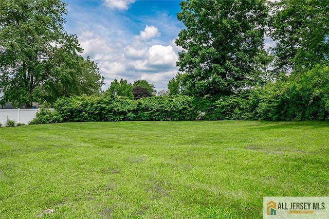 48 Kendall Rd, South Brunswick, NJ 08824 - photo 19