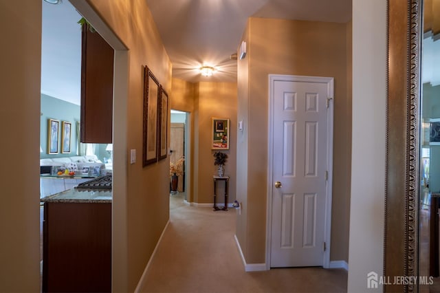 263 Valencia Dr, Monroe, NJ 08831 - corridor featuring baseboards and light colored carpet