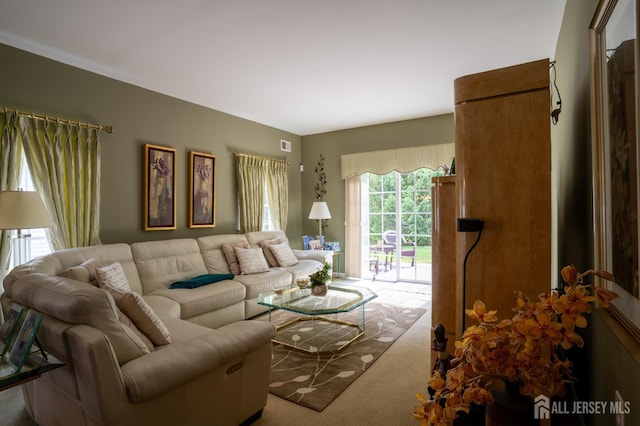 263 Valencia Dr, Monroe, NJ 08831 - living area with carpet floors