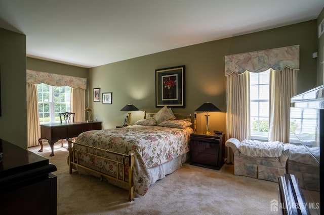 263 Valencia Dr, Monroe, NJ 08831 - view of carpeted bedroom