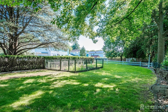 64 Annette Dr, Edison, NJ 08820 - view of yard featuring a vegetable garden