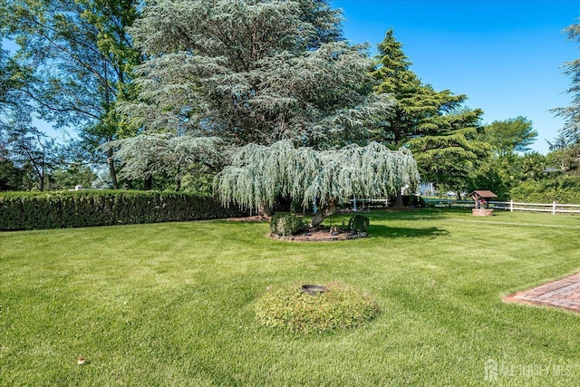 64 Annette Dr, Edison, NJ 08820 - view of yard