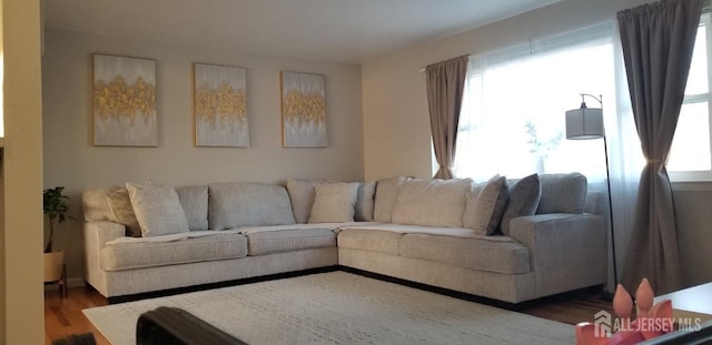 living room with wood finished floors