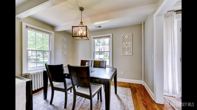 3 Mayfield Pl, Metuchen, NJ 08840 - dining space featuring radiator, a chandelier, healthy amount of natural light, beam ceiling, and wood finished floors