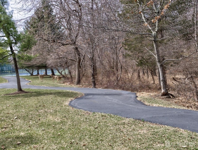 view of road