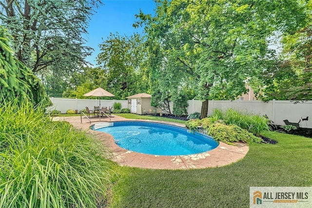 5 Serviss Ave, East Brunswick, NJ 08816 - view of swimming pool featuring a storage unit, a fenced backyard, and a patio area