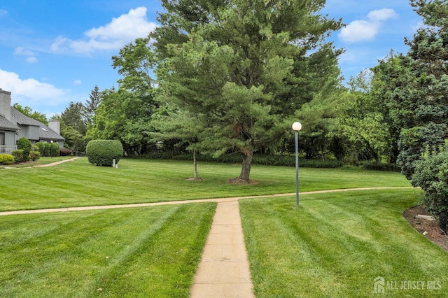 84 Linda Ln, Edison, NJ 08820 - photo 41