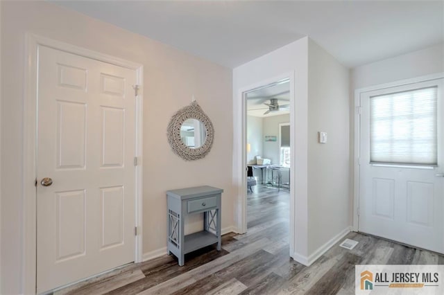 interior space with baseboards, ceiling fan, wood finished floors, and a healthy amount of sunlight