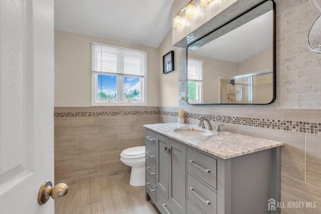 17 Thomas Rd, East Brunswick, NJ 08816 - bathroom featuring tile walls, toilet, vanity, healthy amount of natural light, and tile patterned flooring