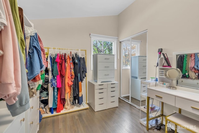 walk in closet with wood finished floors and lofted ceiling