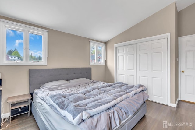 17 Thomas Rd, East Brunswick, NJ 08816 - bedroom featuring a closet, vaulted ceiling, wood finished floors, and baseboards