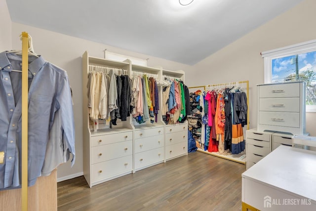 walk in closet with wood finished floors
