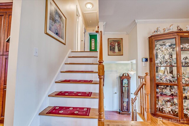 2 Patricia Ave, Edison, NJ 08837 - photo 35