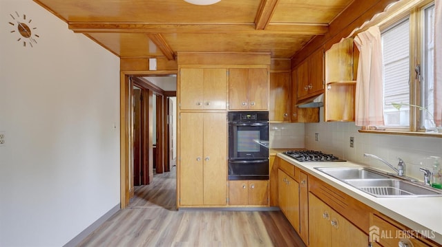 kitchen with a sink, plenty of natural light, light wood-style floors, and oven