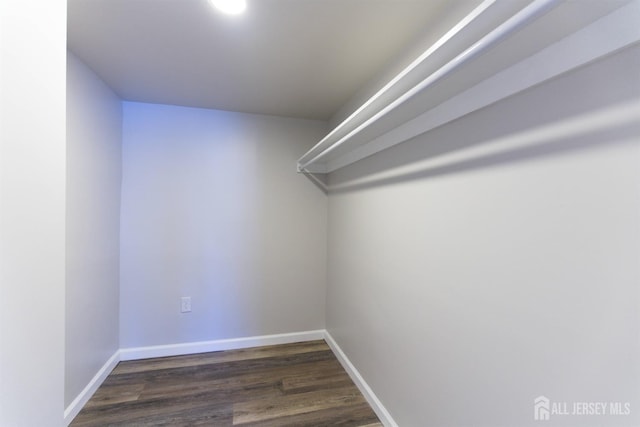 walk in closet with wood finished floors