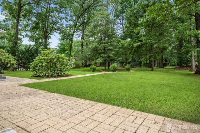 15 Manton Ave, East Brunswick, NJ 08816 - photo 33