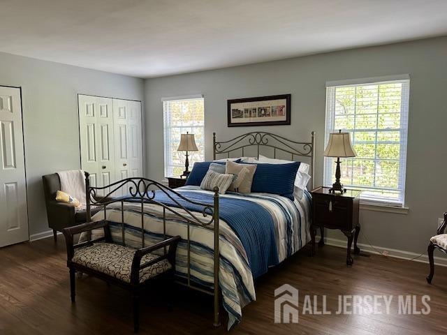 271 Constitution Cir, North Brunswick, NJ 08902 - bedroom with multiple windows, baseboards, dark wood-type flooring, and multiple closets