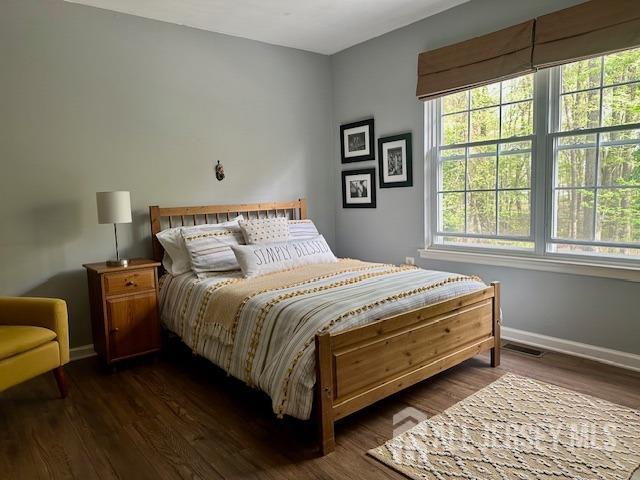 271 Constitution Cir, North Brunswick, NJ 08902 - bedroom featuring multiple windows, baseboards, and dark wood-type flooring