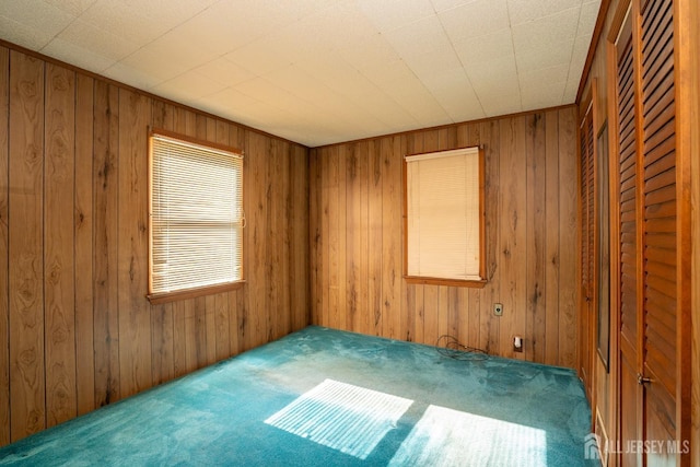 carpeted spare room with wood walls