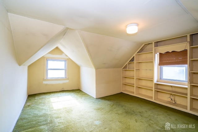 additional living space with built in shelves, lofted ceiling, and carpet flooring