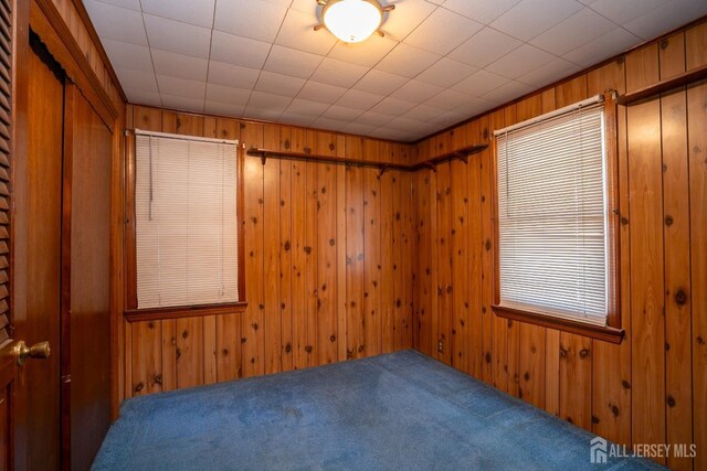 spare room with carpet and wood walls