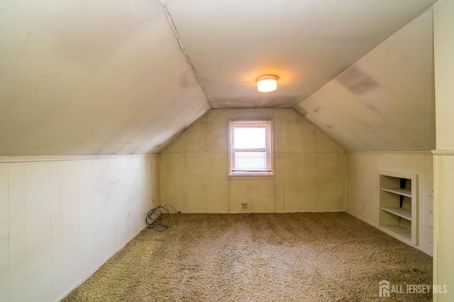 bonus room with built in shelves, lofted ceiling, and carpet