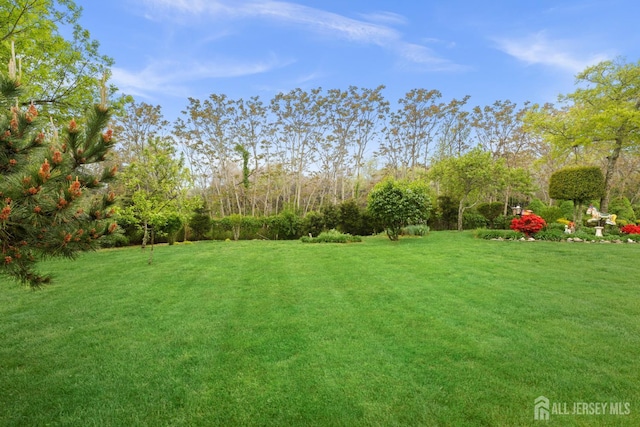 27 Jared Ln, Little Egg Harbor, NJ 08087 - photo 13